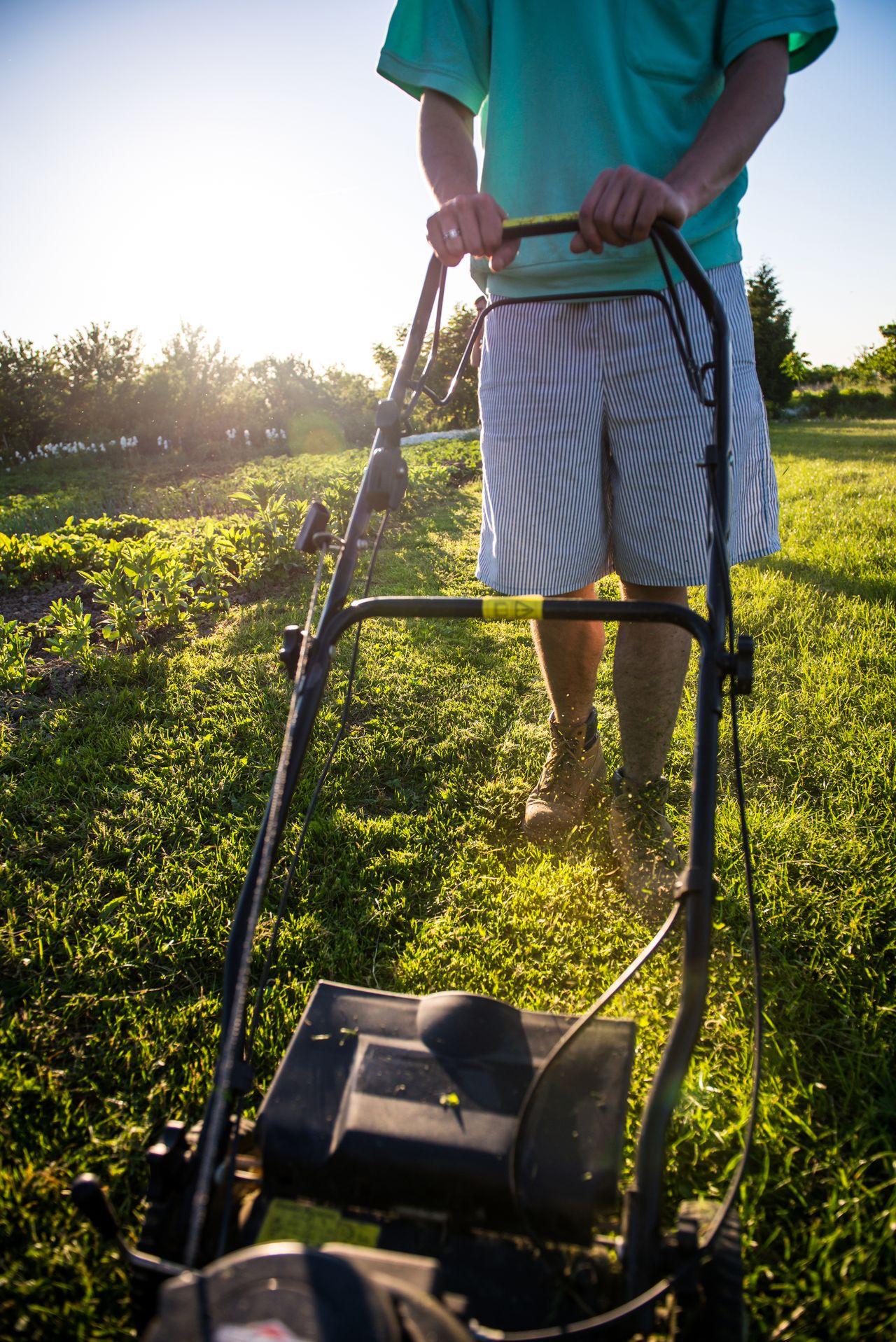 Residential lawn being mowed in Tampa during golden-hour light