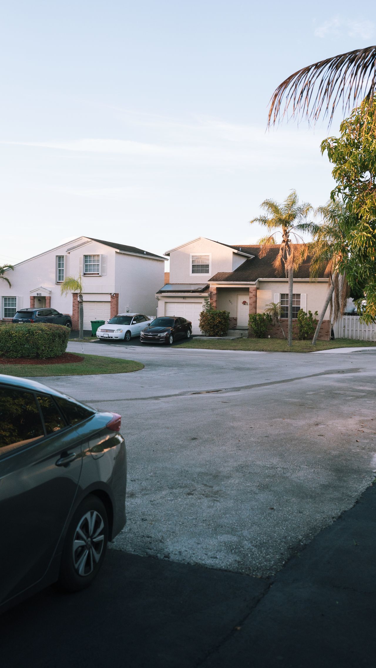 A Tampa, Florida residential neighborhood with palm trees and tidy front lawns